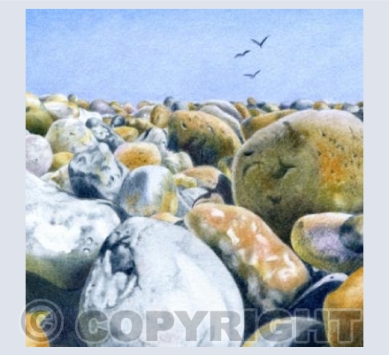 A Different Perspective