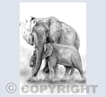 Mother Protector