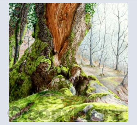 The Old Man of Dartmoor