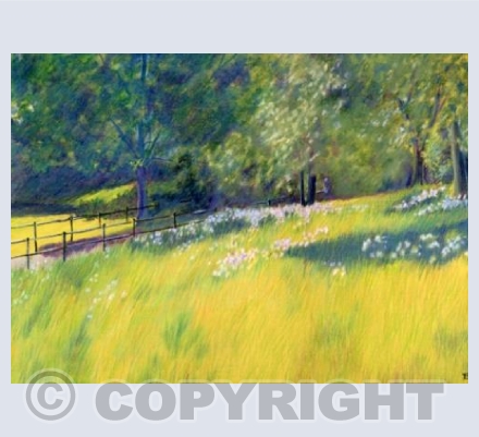 Sunlit Meadow