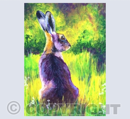 Sunlit Hare