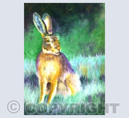 Moonlit Hare