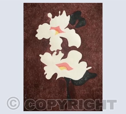White Flower ll