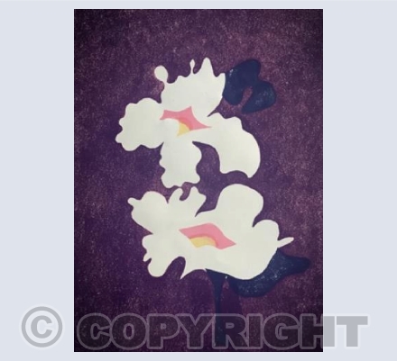 White Flower