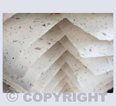 Petal Paper 