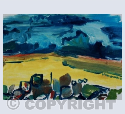 Summer Fields 