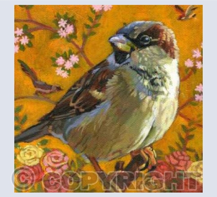 Sparrow