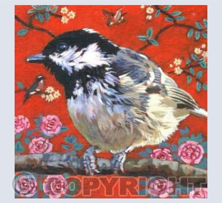 Coal Tit