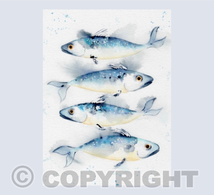 'Fishy Business'