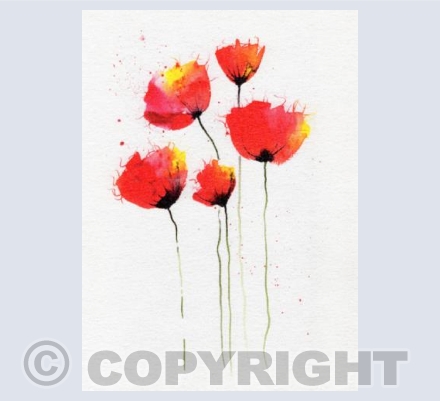 Red Poppies