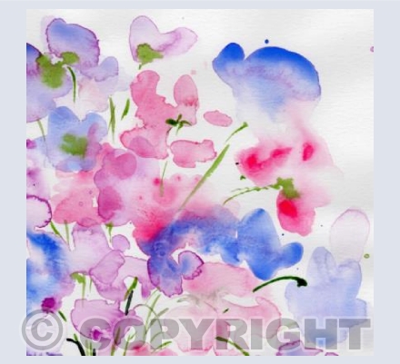 Sweet Peas