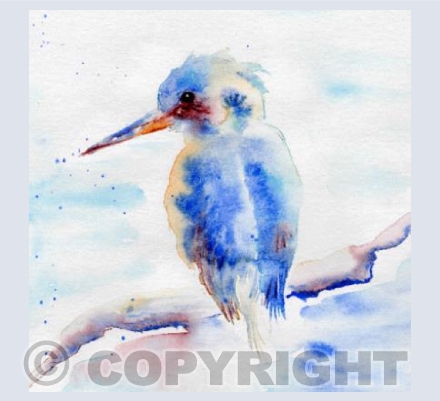 Kingfisher Blues