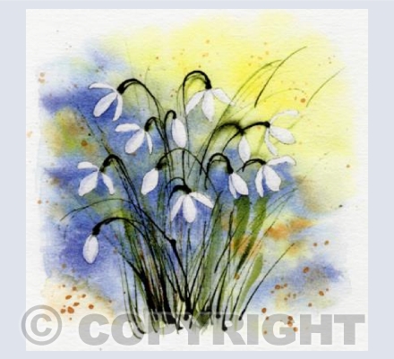 Benington Snowdrops