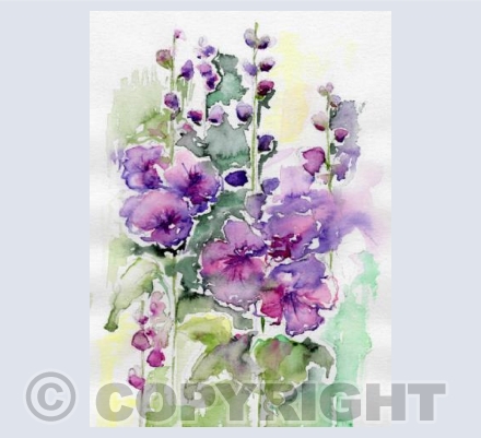 Jolly Hollyhocks
