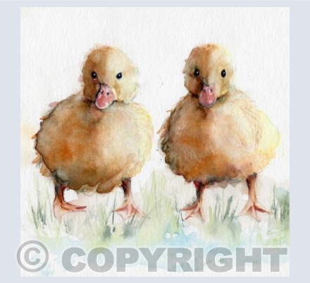 'Anyone for a Puddle?'