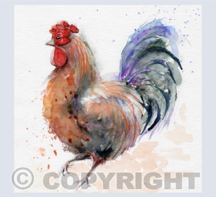 Strutting my Stuff
