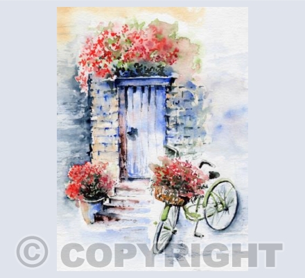Summer Bicycle Ride