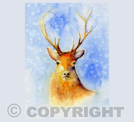 Stag in the Snow