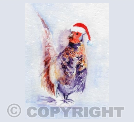 Festive Pheasant
