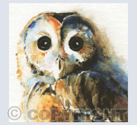 'Here's looking at you'