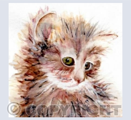 'Ready for my close-up'
