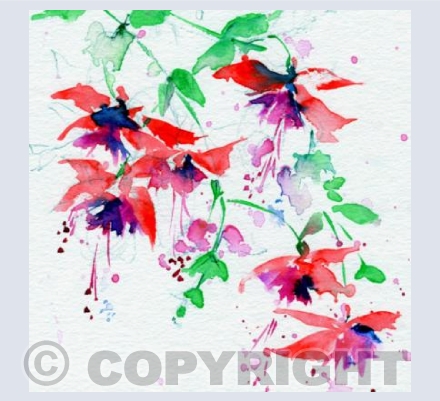 'Fuchsia'
