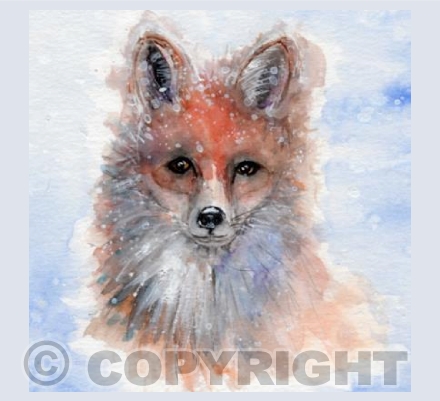 Mr Fox
