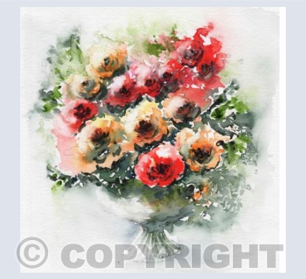 Summer Roses