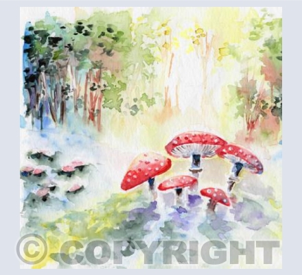 Magic Mushrooms