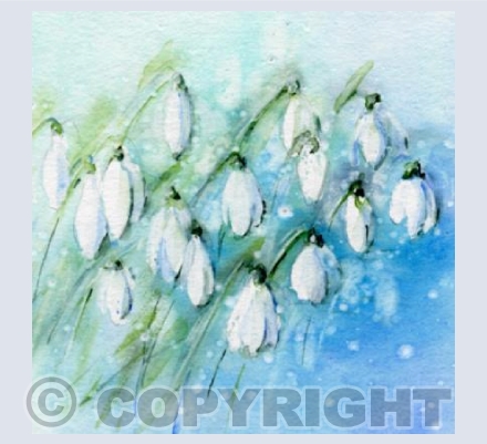 Spring at Lordship Gardens