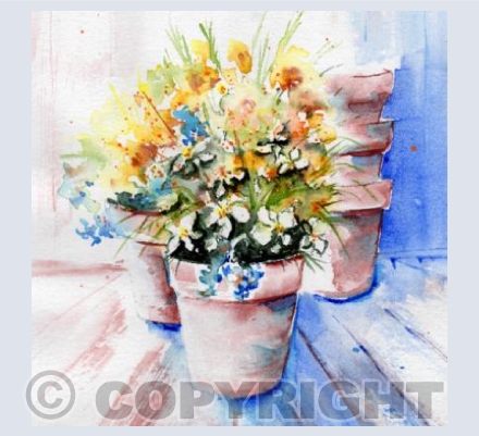 In the Potting Shed