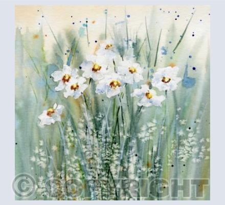 Dance of the Daffodils