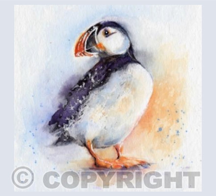 Puffin' Billy