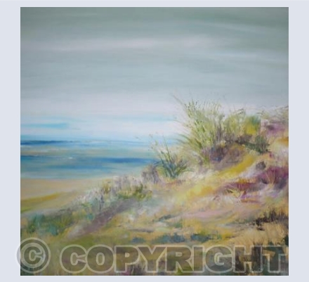 Shell Bay - Dorset
