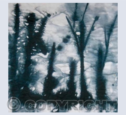 Rainy Day in Geneva I