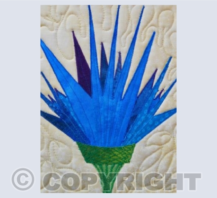Cornflower