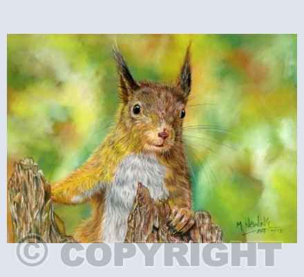 Nuts!