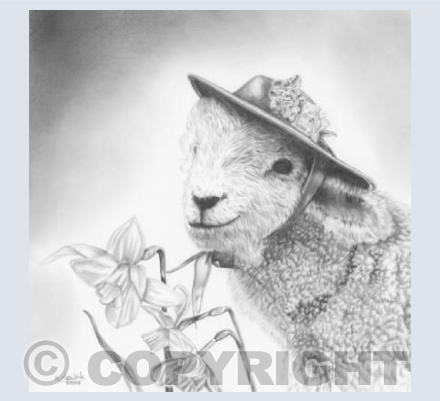 Boswell the Easter Lamb