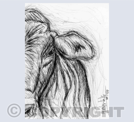 Cow Ink Art