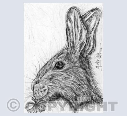 Rabbit Ink Art