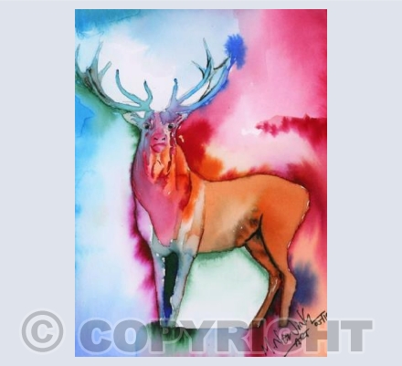 The Handsome Stag