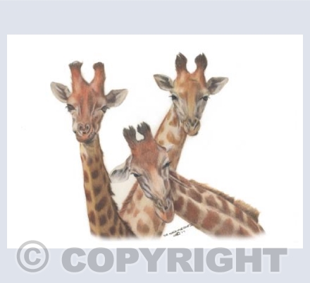 The Neck For Owt Collection - Family Selfie!!