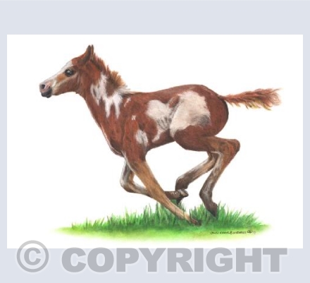 Only Foals and Horses  - Just Running