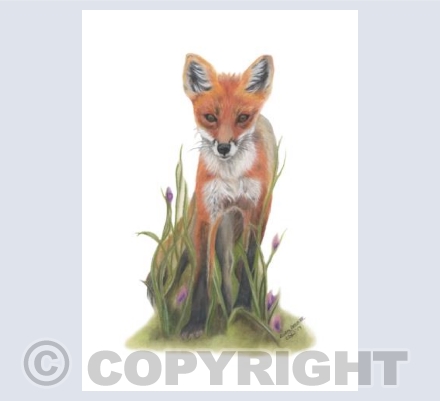 Rural Reds Collection - Red Fox