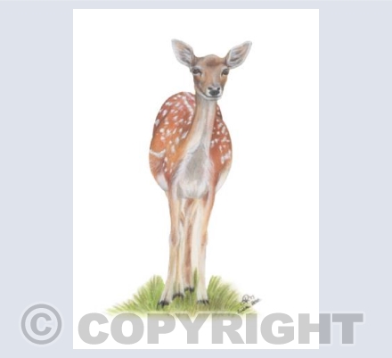 Rural Reds Collection - Red Deer