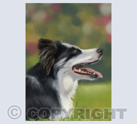Doggy Delights - Frank Old Blue Eyes