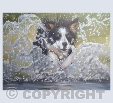 Doggy Delights - Spikes Splash