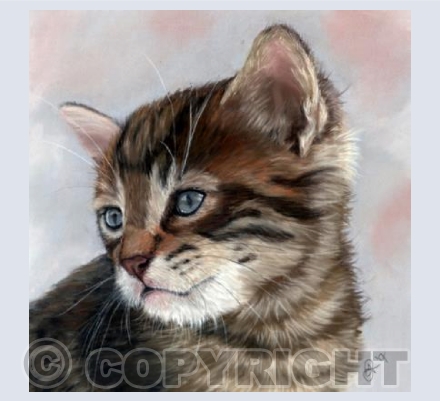 Fancy Felines Collection - Misty Kitty