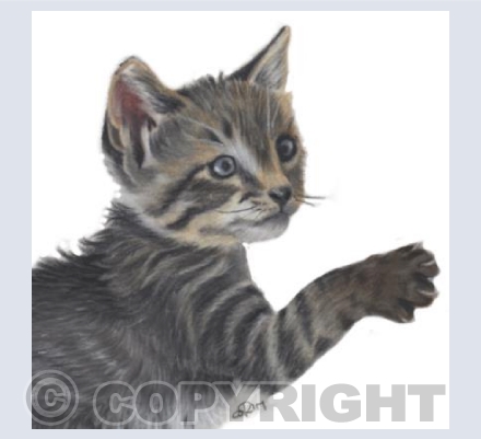 Fancy Felines Collection - Mabel