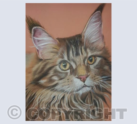 Fancy Felines Collection - Mac